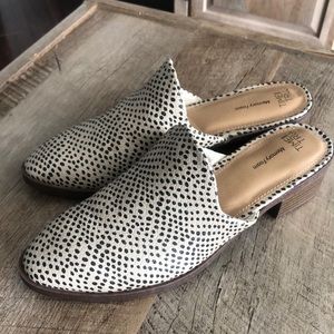 Time and Tru - Slides